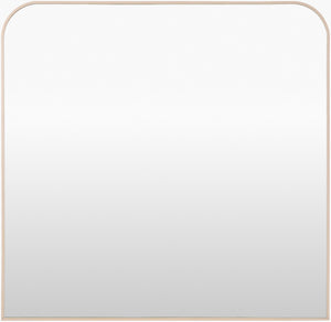 Livabliss Aranya Rectangular Mantel Mirror Slim Profile Minimalist Frame for Living Room Walls RAY062-3635
