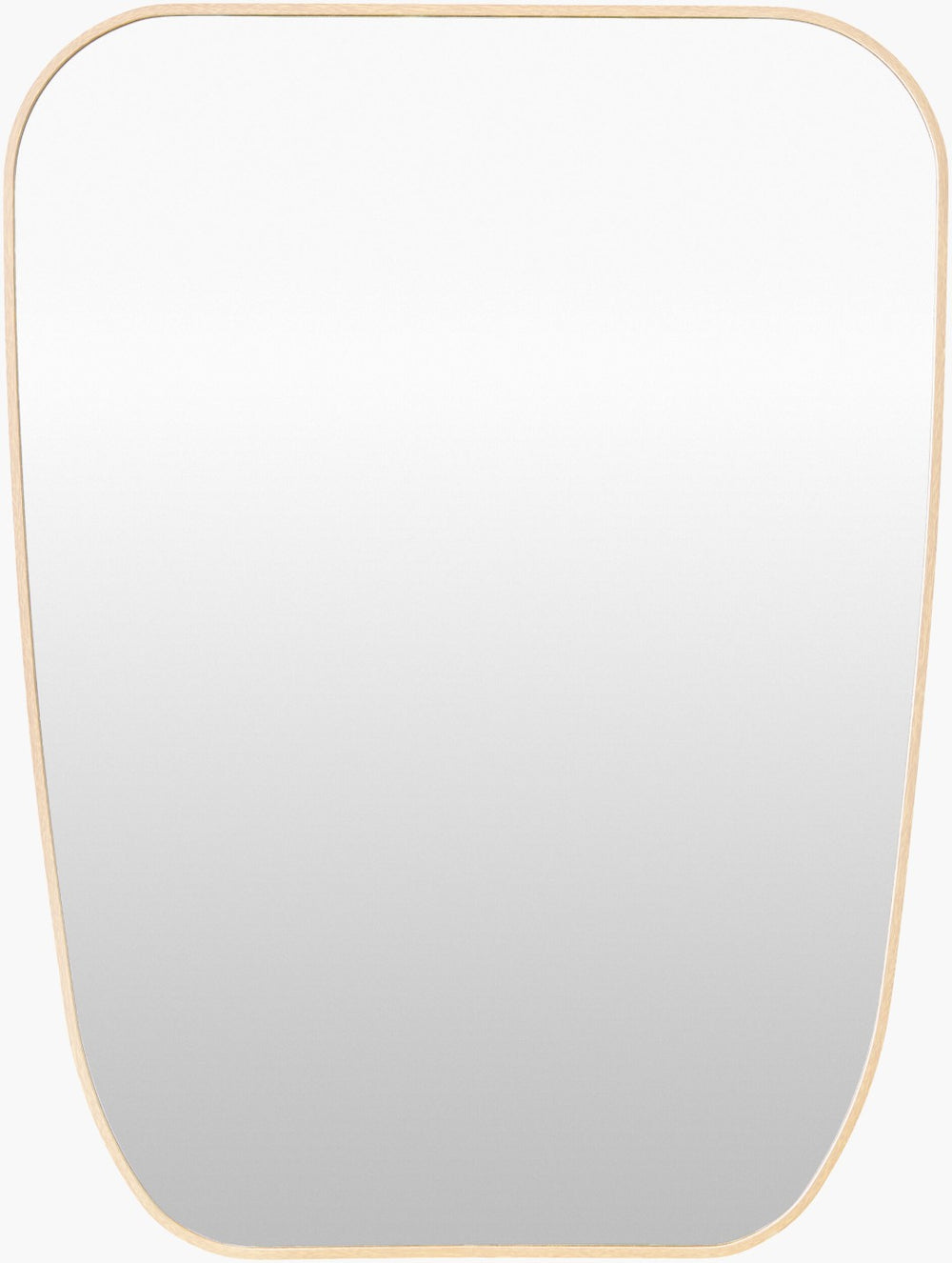 Livabliss Aranya Slim Wall Mirror Minimalist Frame Reflects Light for Hallway or Bedroom RAY070-3224