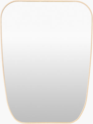 Livabliss Aranya Slim Wall Mirror Minimalist Frame Reflects Light for Hallway or Bedroom RAY070-3224