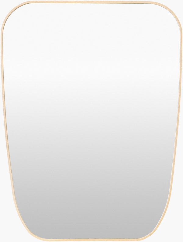 Livabliss Aranya Slim Wall Mirror Minimalist Frame Reflects Light for Hallway or Bedroom RAY070-3224
