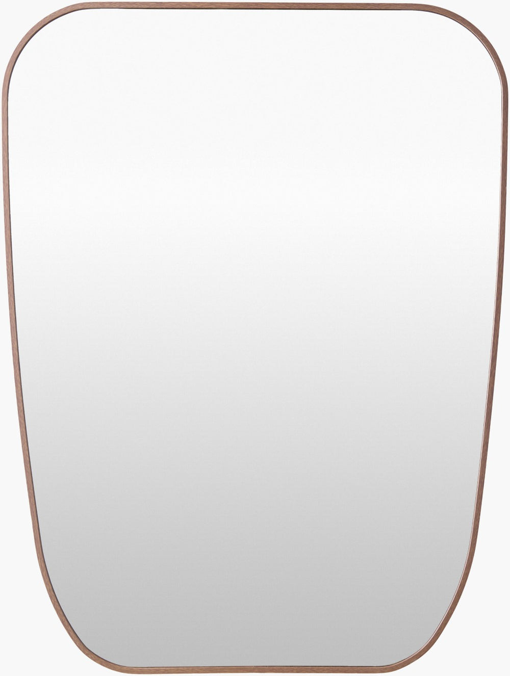 Livabliss Aranya Rectangular Wall Mirror Slim Minimalist Frame for Modern Living Spaces RAY071-3224