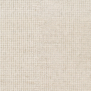 Surya Rebecca Eco-friendly Handmade 2' X 3' Area Rug - Stylish, Durable, And Perfect For High Traffic Spaces! Off,White Recycled Pet Yarn Rbc2300-69