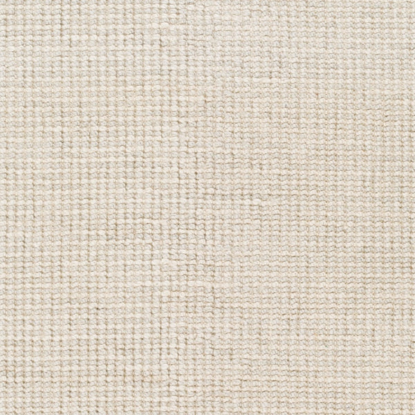 Surya Rebecca Eco-friendly Handmade 2' X 3' Area Rug - Stylish, Durable, And Perfect For High Traffic Spaces! Off,White Recycled Pet Yarn Rbc2300-69