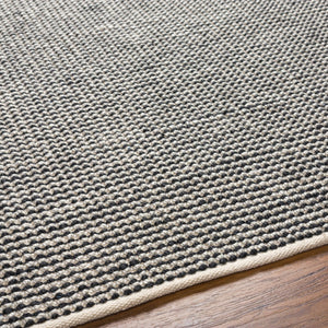 Surya Rebecca Eco-friendly Handmade 2' X 3' Area Rug - Stylish, Durable, And Perfect For High Traffic Spaces! Light Beige Recycled Pet Yarn Rbc2301-69
