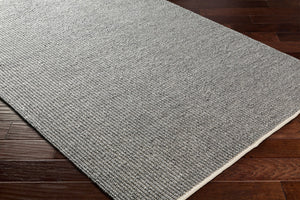 Surya Rebecca Eco-friendly Handmade 2' X 3' Area Rug - Stylish, Durable, And Perfect For High Traffic Spaces! Off,White Recycled Pet Yarn Rbc2302-810