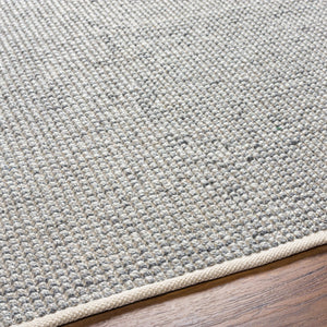 Surya Rebecca Eco-friendly Handmade 2' X 3' Area Rug - Stylish, Durable, And Perfect For High Traffic Spaces! Off,White Recycled Pet Yarn Rbc2305-23
