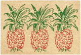 WGT25 Waverly Greetings Pineapple Doormat - Tropical Coir Rug for a Warm Welcome at Your Home