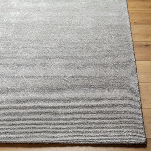 Livabliss Richmond Hand-tufted Wool Viscose Area Rug Artisan Crafted for Living Dining Spaces Silver, Dove Gr 2' x 3' RCM2305-23