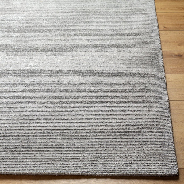 Livabliss Richmond Hand-tufted Wool Viscose Area Rug Artisan Crafted for Living Dining Spaces Silver, Dove Gr 2' x 3' RCM2305-23