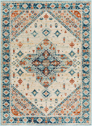 Livabliss Redondo Traditional Polypropylene Area Rug Low Pile Machine Woven for High Traffic Rooms RDD2300-912