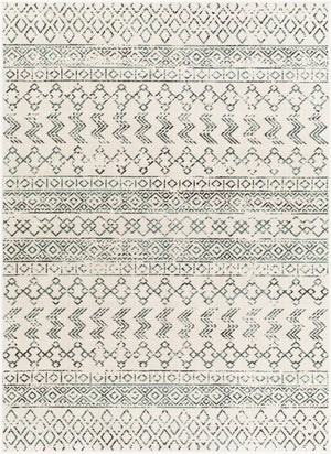Livabliss Redondo Beach Area Rug - Stylish Machine Woven Design For Indoor & Outdoor Elegance And Durability  Polypropylene Rdd2309-679