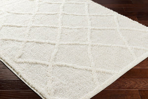 Livabliss Rodos Scandinavian Modern Plush Polyester Area Rug for Living Room and Bedroom Floors RDO2301-537
