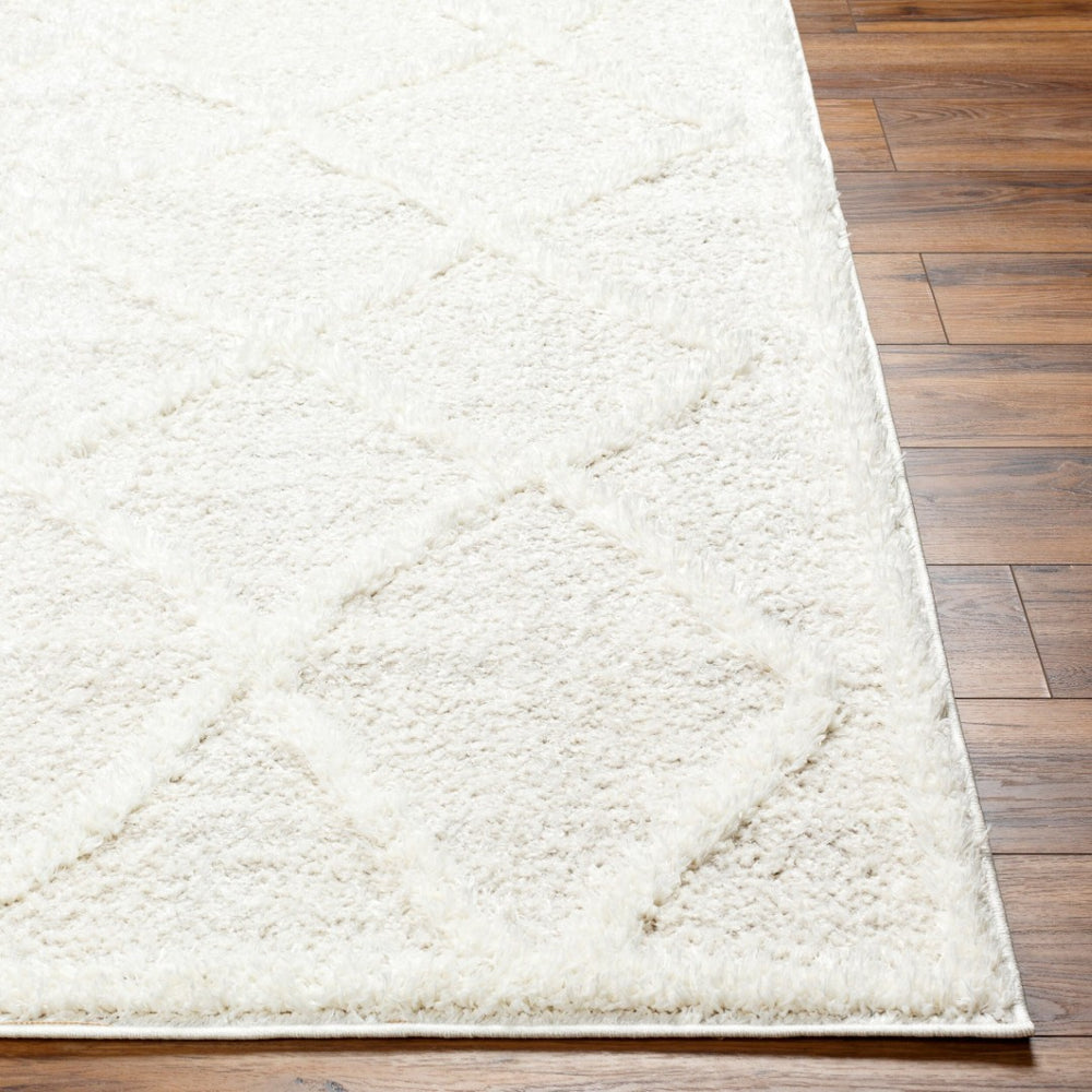 Livabliss Rodos Scandinavian Modern Plush Polyester Area Rug for Living Room and Bedroom Floors RDO2301-537
