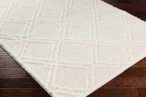 Livabliss Rodos Scandinavian Modern Plush Polyester Area Rug Soft Minimalist Living Room Floor RDO2312-679