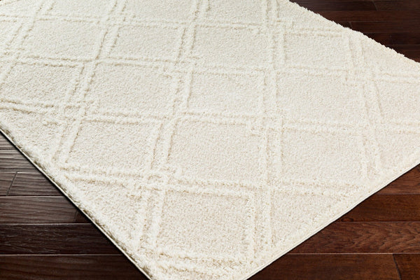 Livabliss Rodos Scandinavian Modern Plush Polyester Area Rug Soft Minimalist Living Room Floor RDO2312-679