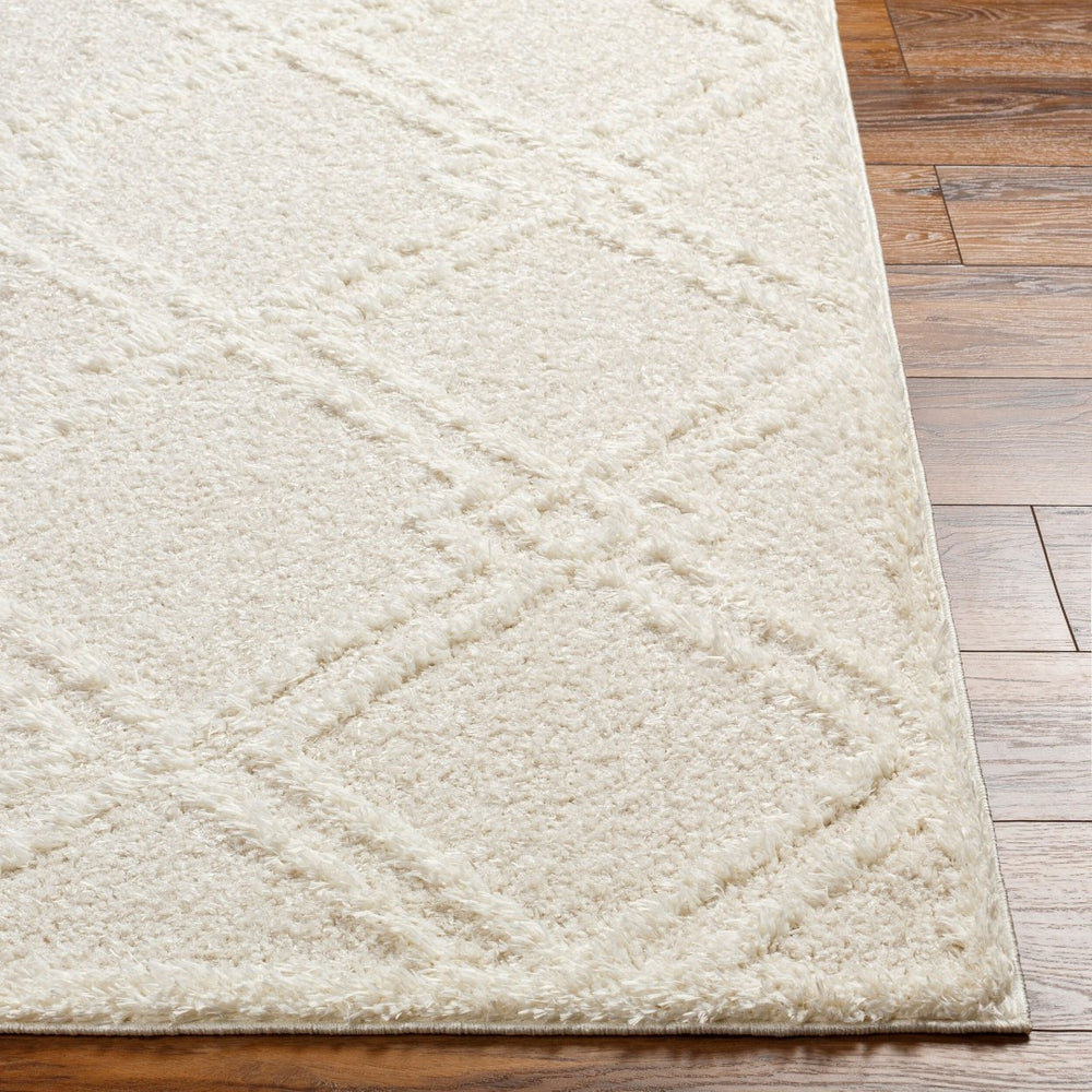 Livabliss Rodos Scandinavian Modern Plush Polyester Area Rug Soft Minimalist Living Room Floor RDO2312-679