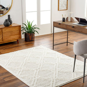 Livabliss Rodos Scandinavian Modern Plush Polyester Area Rug Soft Minimalist Living Room Floor RDO2312-679
