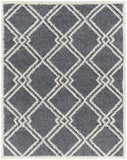 Rodos RDO-2315 7'10" x 10' Machine Woven Rug RDO2315-71010 Livabliss Surya