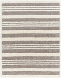 Rodos RDO-2317 7'10" x 10' Machine Woven Rug RDO2317-71010 Livabliss Surya