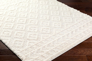 Livabliss Rodos Scandinavian Modern Geometric Area Rug Polyester Woven for Living and Dining Rooms RDO2336-679
