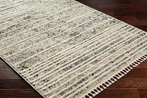 Surya Rudy Machine Woven Rug RDY-2301