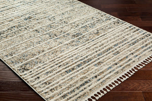 Livabliss Rudy Machine Woven Polyester Area Rug Minimalist Modern Style for Large Living Spaces RDY2301-9212