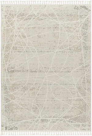 Livabliss Rudy Minimalist Machine Woven Polyester Area Rug for Living Room or Dining Space RDY2303-9212