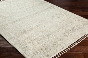 Livabliss Rudy Minimalist Machine Woven Polyester Area Rug for Living Room or Dining Space RDY2303-9212