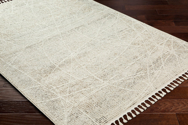 Livabliss Rudy Minimalist Machine Woven Polyester Area Rug for Living Room or Dining Space RDY2303-9212