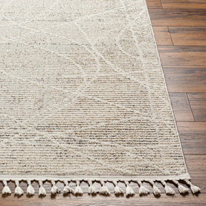 Livabliss Rudy Minimalist Machine Woven Polyester Area Rug for Living Room or Dining Space RDY2303-9212