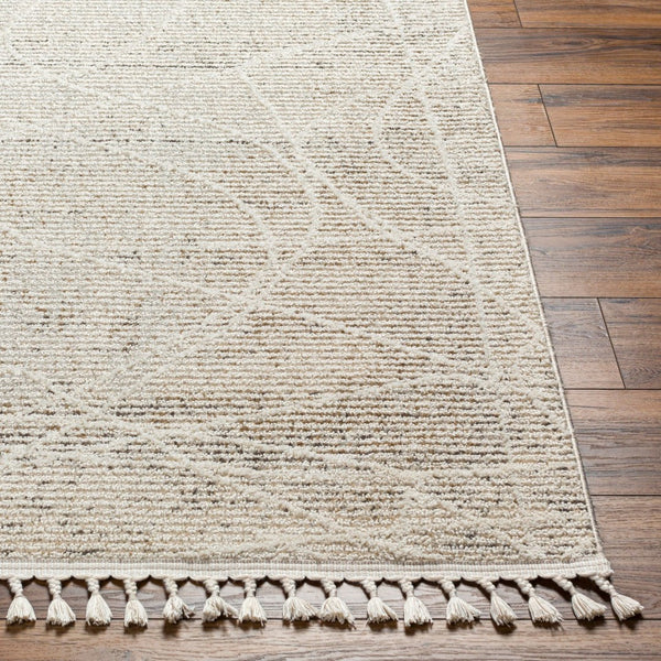 Livabliss Rudy Minimalist Machine Woven Polyester Area Rug for Living Room or Dining Space RDY2303-9212