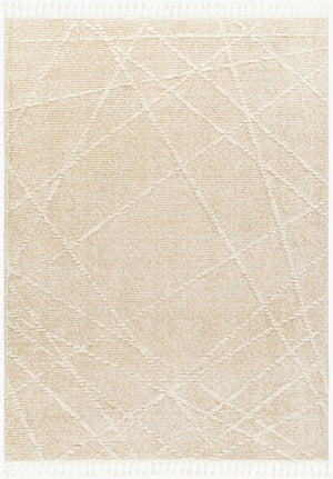 Livabliss Rudy Geometric Polyester Area Rug Turkish Woven Medium Pile Living Room Accent RDY2307-9212