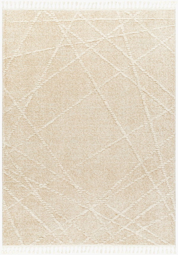 Livabliss Rudy Geometric Polyester Area Rug Turkish Woven Medium Pile Living Room Accent RDY2307-9212