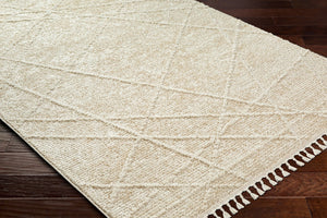Livabliss Rudy Geometric Polyester Area Rug Turkish Woven Medium Pile Living Room Accent RDY2307-9212