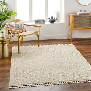 Livabliss Rudy Geometric Polyester Area Rug Turkish Woven Medium Pile Living Room Accent RDY2307-9212