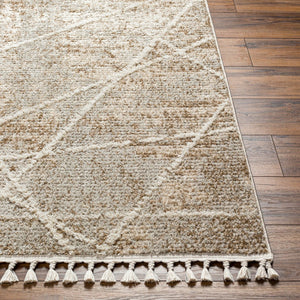 Livabliss Rudy Minimalist Polyester Area Rug Turkish Woven Medium Pile for Large Living Spaces RDY2308-9212