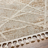 Surya Rudy Machine Woven Rug RDY-2308