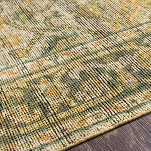 Surya Reign 2' X 3' Handmade New Zealand Wool Rug – Modern Fringe Design For Stylish Home Décor Tan Nz Wool Reg2305-69