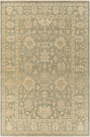 Surya Reign 2' X 3' Handmade New Zealand Wool Rug – Modern Fringe Design For Stylish Home Décor Dusty Sage Nz Wool Reg2306-69