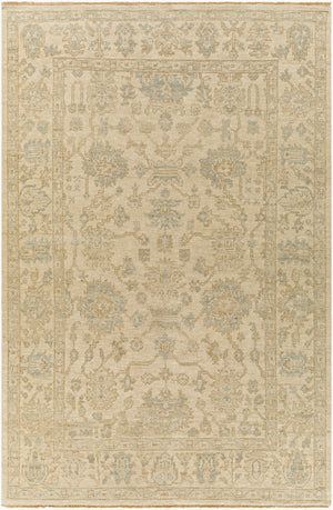 Surya Reign 2' X 3' Handmade New Zealand Wool Rug – Modern Fringe Design For Stylish Home Décor Sage Nz Wool Reg2307-23