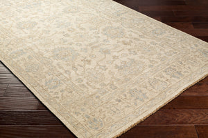 Surya Reign 2' X 3' Handmade New Zealand Wool Rug – Modern Fringe Design For Stylish Home Décor Sage Nz Wool Reg2307-23