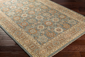 Surya Reign Hand-knotted Wool Area Rug with Fringe Trim for Living or Dining Rooms REG2308-69