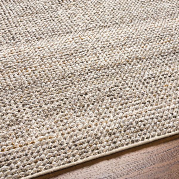 Surya Reika Hand Made 10' X 14' Eco-friendly Rug - Artisan Crafted With Recycled Pet For Modern Homes Off,White Recycled Pet Yarn Rek2301-1014