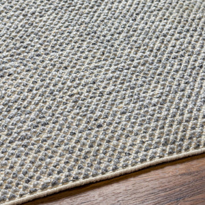Surya Reika Hand Made 10' X 14' Eco-friendly Rug - Artisan Crafted With Recycled Pet For Modern Homes Cream Recycled Pet Yarn Rek2304-576