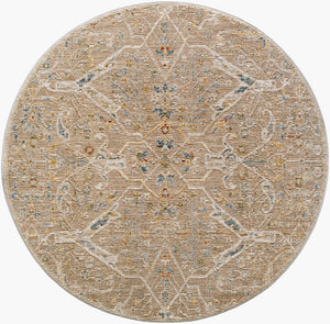 Livabliss Reina Traditional Turkish Polyester Area Rug with Fringe for Large Living Dining Rooms Light Brown, De 6'7" x 6'7" REN2300-67RD