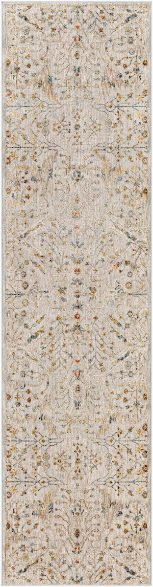 Livabliss Reina Traditional Turkish Polyester Area Rug with Fringe Border for Large Living Rooms Light Gray, Den 2'7" x 10' REN2302-2710