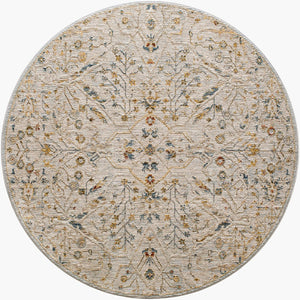 Livabliss Reina Traditional Turkish Polyester Area Rug with Fringe Border for Large Living Rooms Light Gray, Den 5'3" x 5'3" REN2302-53RD