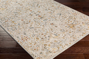 Livabliss Reina Traditional Turkish Polyester Area Rug with Fringe Border for Large Living Rooms Light Gray, Den 10' x 13'11" REN2302-1014