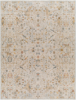 Livabliss Reina Traditional Turkish Polyester Area Rug with Fringe Border for Large Living Rooms Light Gray, Den 7'10" x 10'2" REN2302-710103