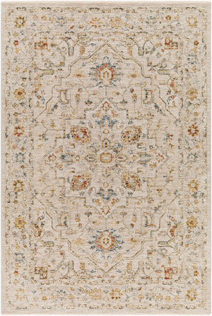 Livabliss Reina Traditional Fringe Area Rug with High Low Texture for Large Living Rooms Light Gray, Med 2'7" x 3'11" REN2303-274